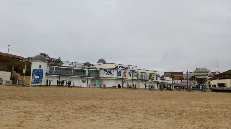 Bournemouth Oceanarium